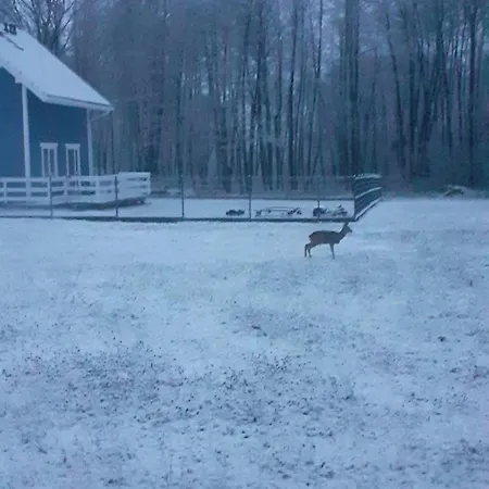 Апартаменты Sarenkowo Dom Z Balia Ogrodowa Pokrzywnica